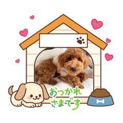 KAITO_20250928072111