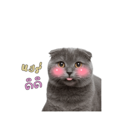 Sharon_20250927235551