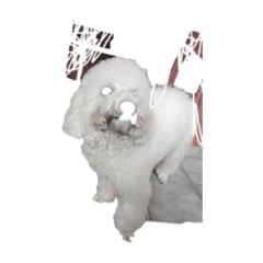 Chayaporn_20250928060256