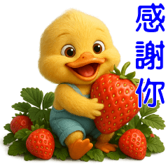 可愛黃鴨*日常實用貼*