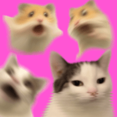 『ぼやけ猫とミーム鼠：怖すぎてブレた』1