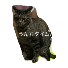 t_20250927130057