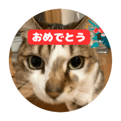 m_20250926113018