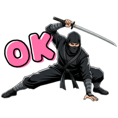 Everyday Life of a Ninja