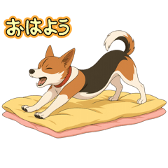 愛しのペット✨️