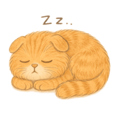 Eldest of 3 (orange tabby)