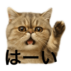 mimamima_20250926195755