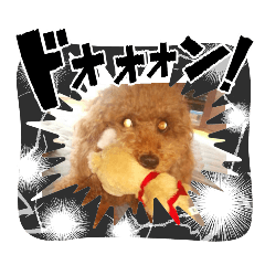 Lecchii_20250928063322