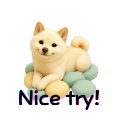 Cute Shiba Says It All