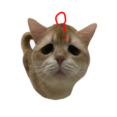 Merry_20250928122234