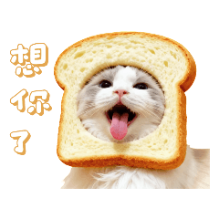 布偶貓の日常用語（美食篇）