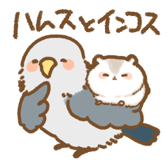ハムスとインコス