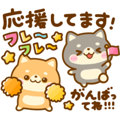 豆柴日和♡ごちゃ混ぜバラエティ