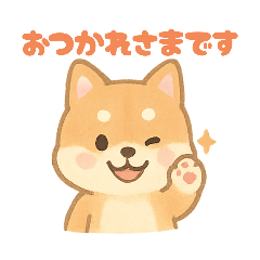 Betty_Shiba Inu