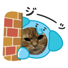 Takeshi_20250928121442