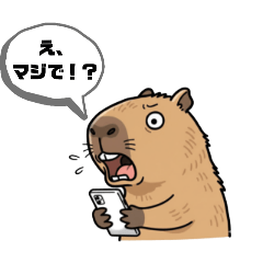 Capybara anytime