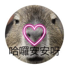 主題混亂但還算實用的貼圖圖