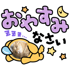 KOKO_20250928170645