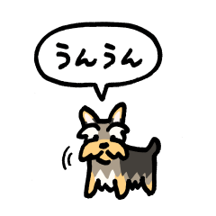 小さいヨークシャテリア(フキダシ)