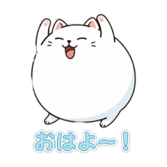 White cat ,daily life