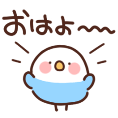 インコの家族連絡