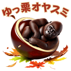 Autumn is definitely chestnut gorilla !