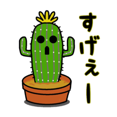 HANIWA Cactus (daily life)
