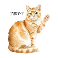 my orange tabby honeycat