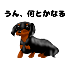 ShinNexus_20250927181907
