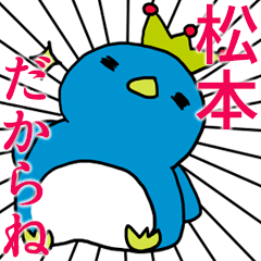 [MATSUMOTO Only]Chubby Penguin
