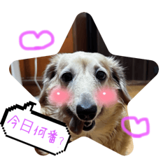 nanami_20250928131013