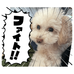 KURUMI_20250928133028