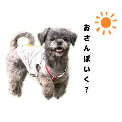 syoco_20250928132440