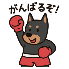 doberman boxer