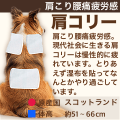 架空犬わんこ図鑑