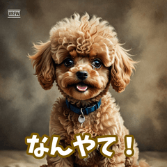 Fluffy Toy Poodle Stickers 0804