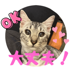 chiko_20250928100339