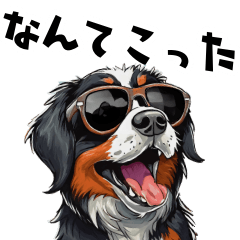 It's a rock but a negative Bernese