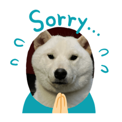 Hachi_20250928163650