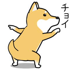 激しく尻尾をふる柴犬❤ネガティブ篇