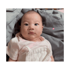 小秋葵