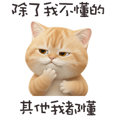 ヾ(*ΦωΦ)ツ小貓貓其他我都懂