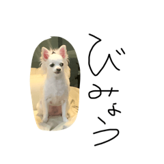 ka_20250928200407