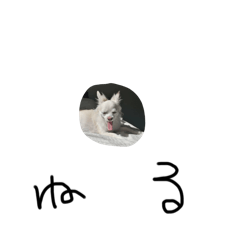 ka_20250928200556