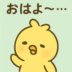 The Daily Life of Sleepyhead Chick