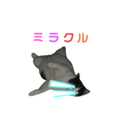 Arisa_20250928154132