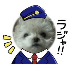 Kashiko_20250928193400