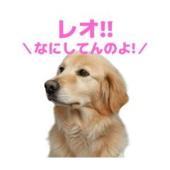 m_20250928214812