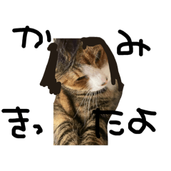 joni-_20250928203153