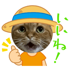 Hana_20250928204000